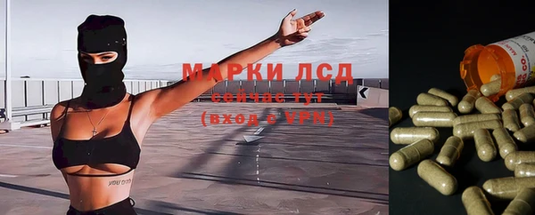 спиды Аркадак