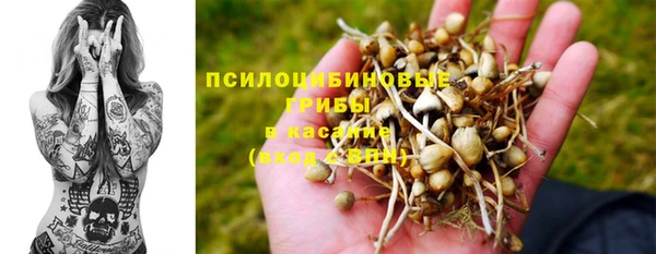 спиды Аркадак