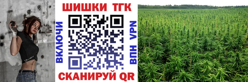 Шишки марихуана планчик  Армянск 